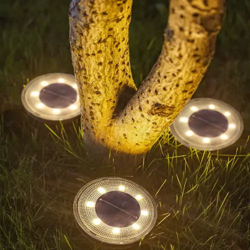 Spots Lumineux - Astra - Rogeree